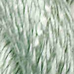 C-147_Bokchoy-150x150